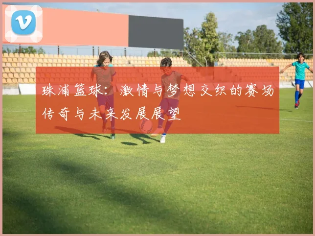 珠浦篮球：激情与梦想交织的赛场传奇与未来发展展望