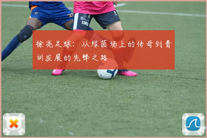 徐亮足球：从绿茵场上的传奇到青训发展的先锋之路